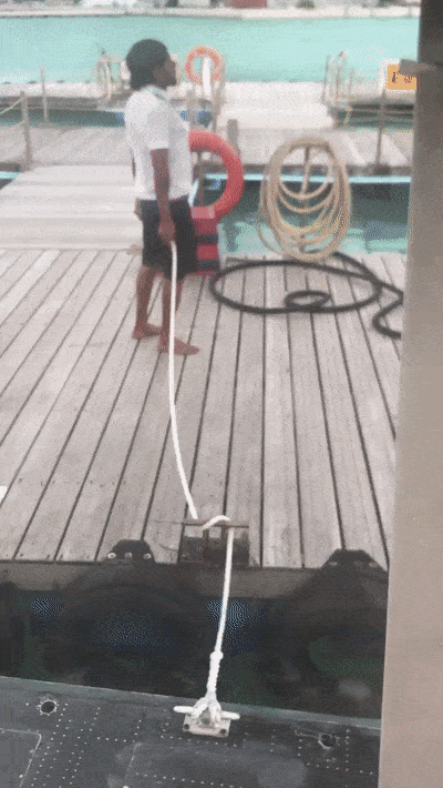 Acid Gifdump, November 6 (25 gifs)