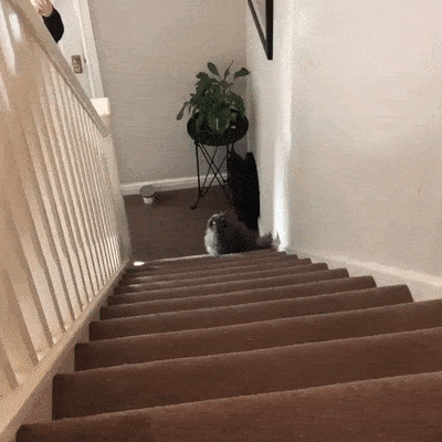 Acid Gifdump, November 6 (25 gifs)