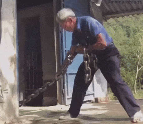 Acid Gifdump, November 6 (25 gifs)