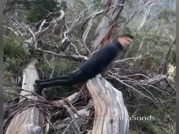 This Human Always Lands On His Feet