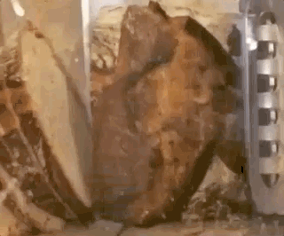 Amazing Knife Skills (20 gifs)