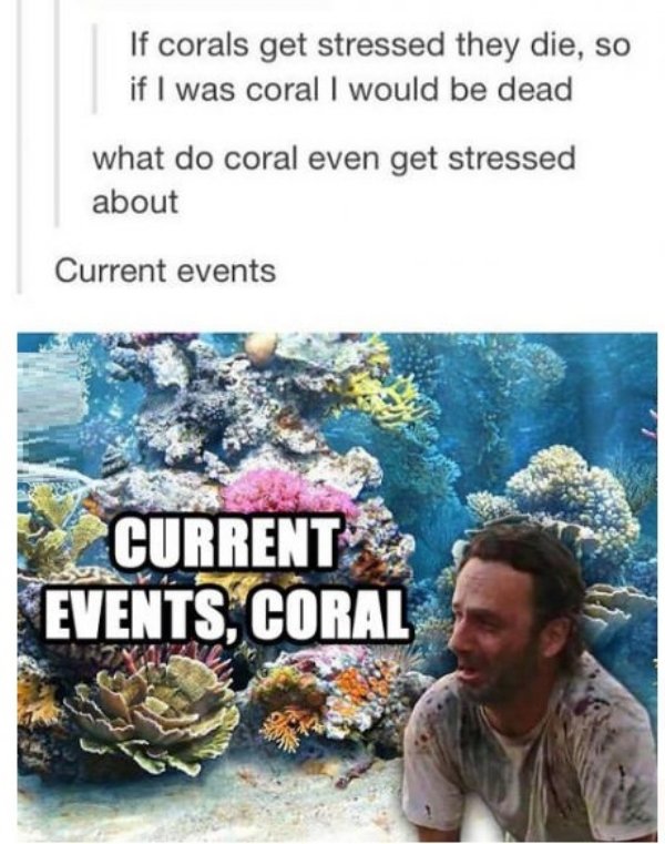 Stress memes (30 pics)