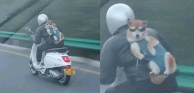 Acid Picdump. Part 2 (125 pics)