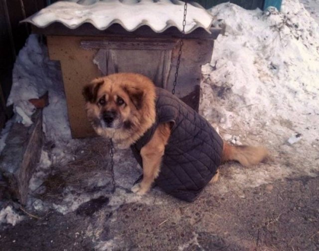 Welcome To Russia! (39 pics)