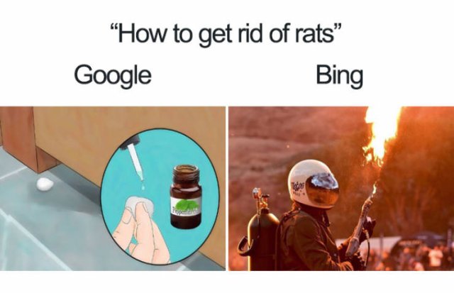 Google Vs. Bing Memes (20 pics)