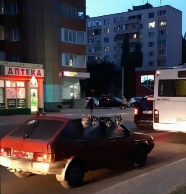 Welcome To Russia! (39 pics)