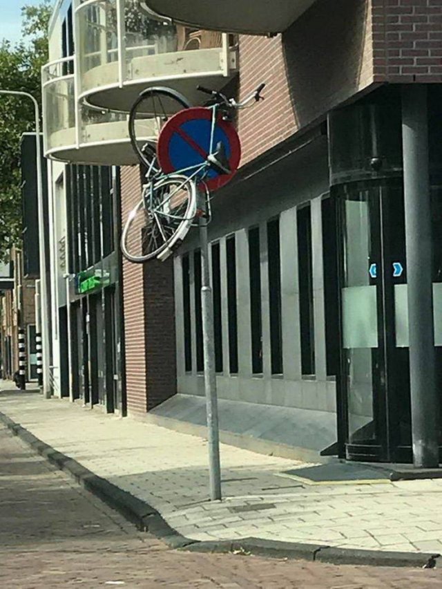 One Question: Why? (47 pics)