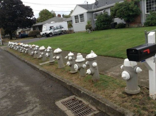 One Question: Why? (47 pics)