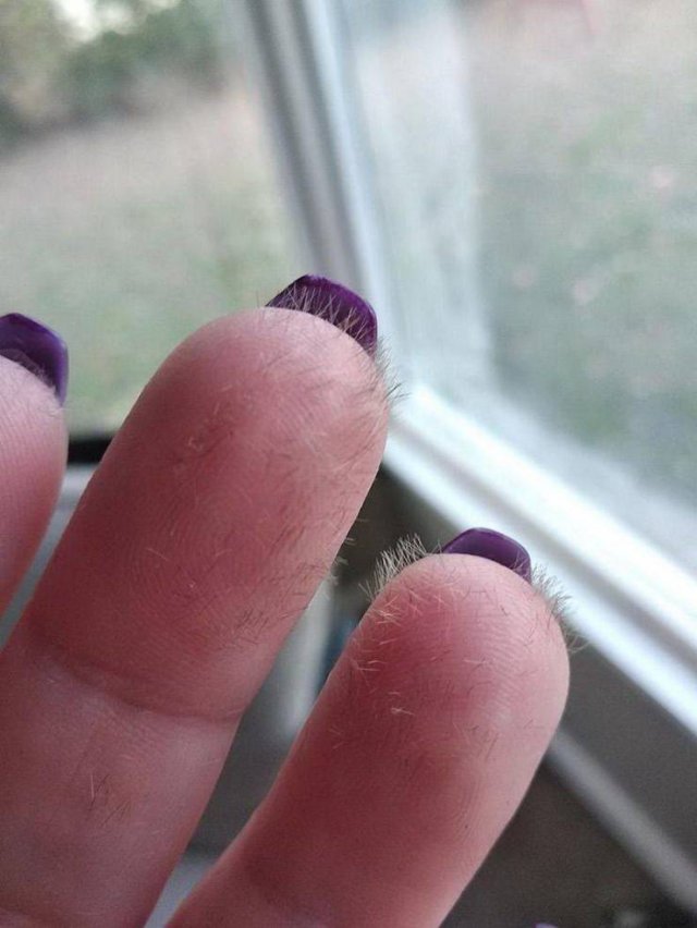One Question: Why? (47 pics)