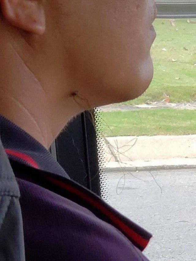 One Question: Why? (47 pics)