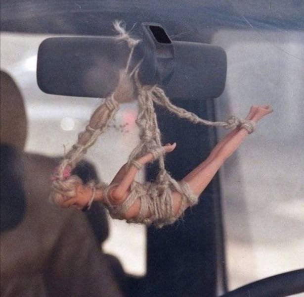 One Question: Why? (47 pics)