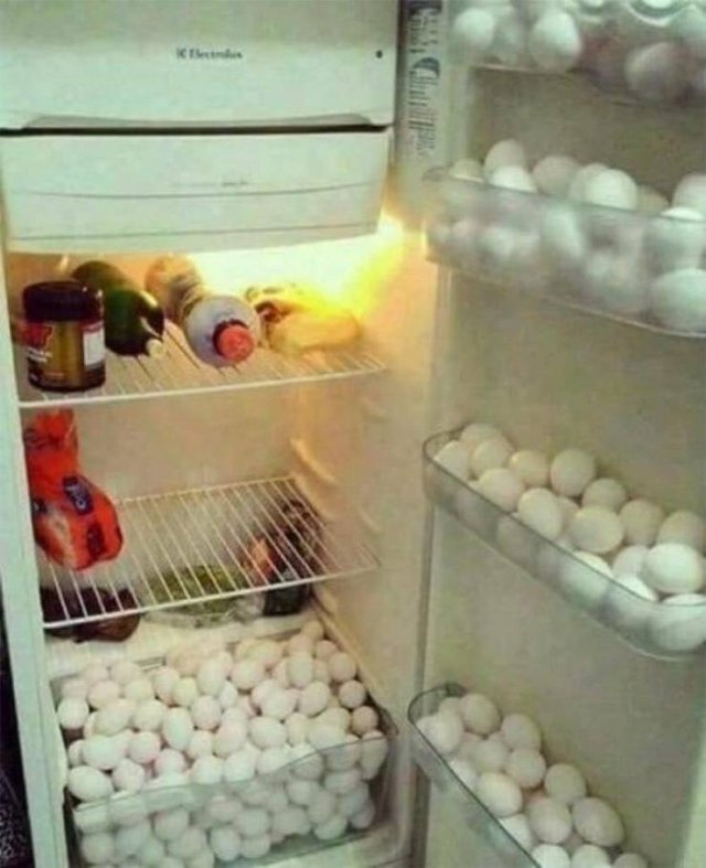 One Question: Why? (47 pics)