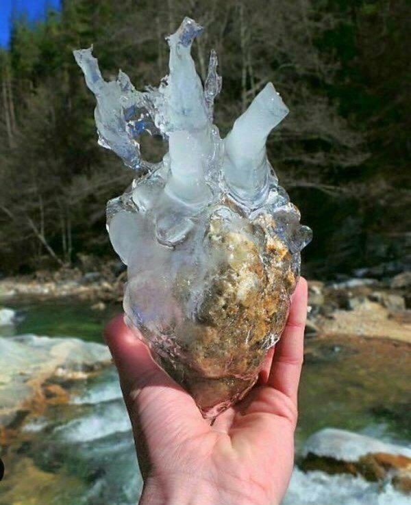 Do You See These? (27 pics)