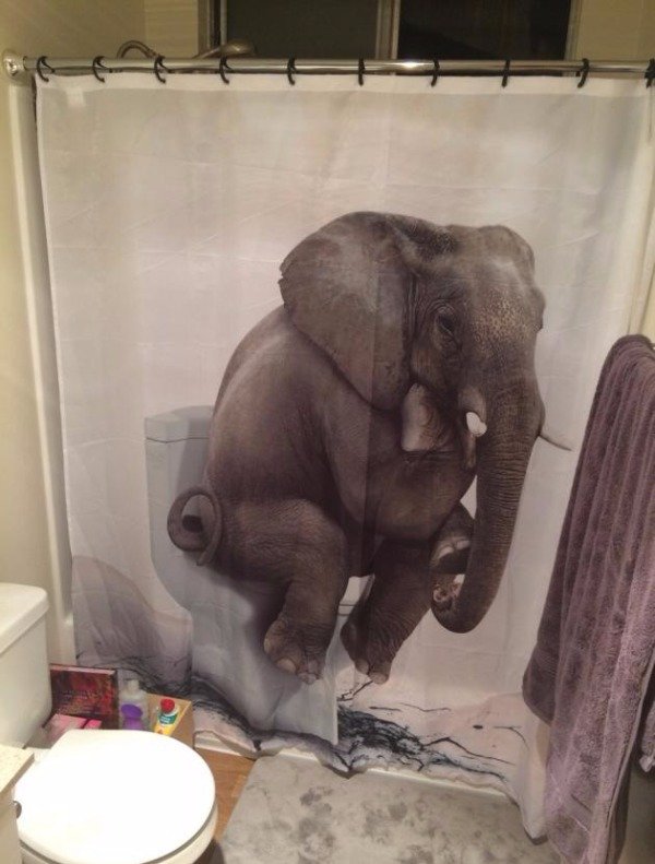 What's Going On Here? (25 pics)