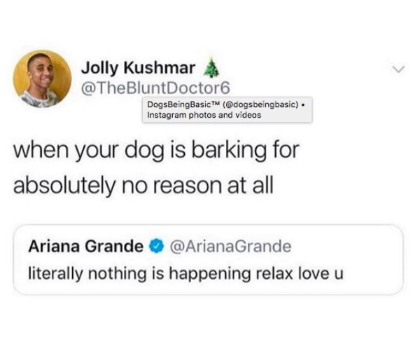 Dog Memes (25 pics)