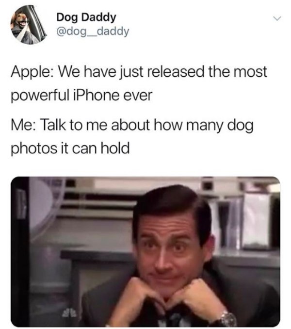 Dog Memes (25 pics)