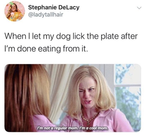 Dog Memes (25 pics)