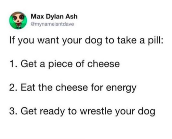 Dog Memes (25 pics)
