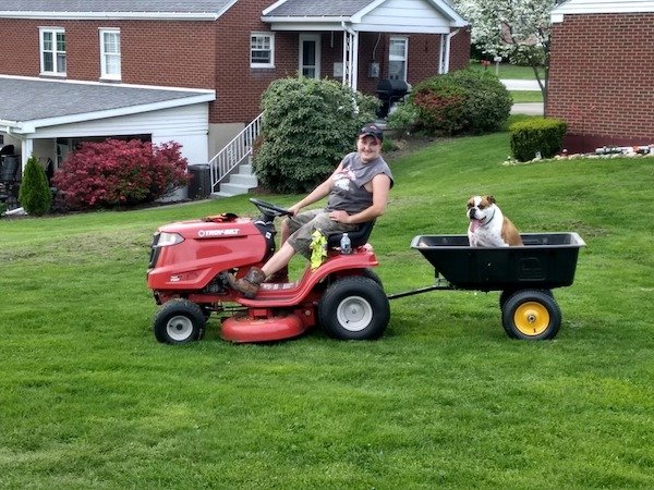 What's Going On Here? (25 pics)