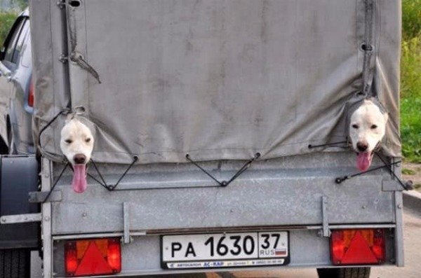 What's Going On Here? (25 pics)