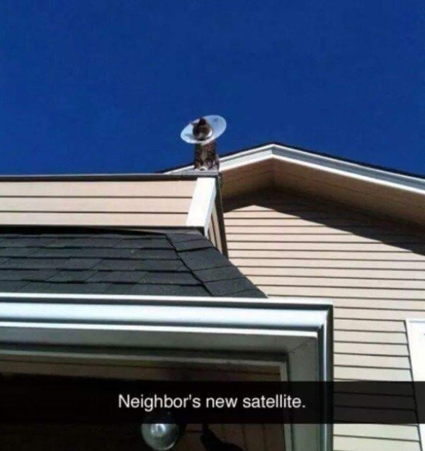 What's Going On Here? (25 pics)