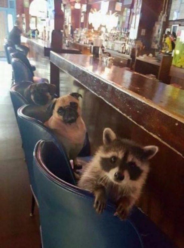 What's Going On Here? (25 pics)