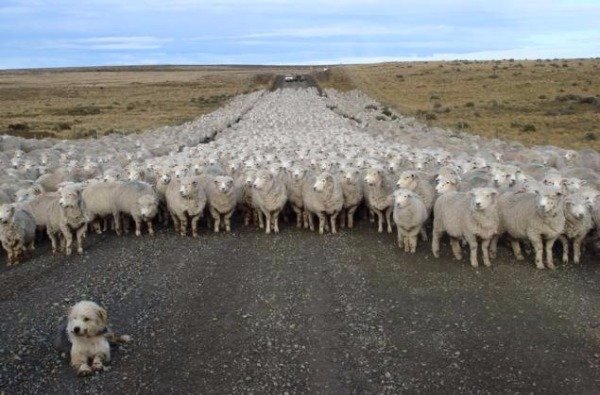 What's Going On Here? (25 pics)