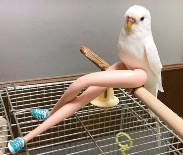 Acid Picdump. Part 2 (75 pics)