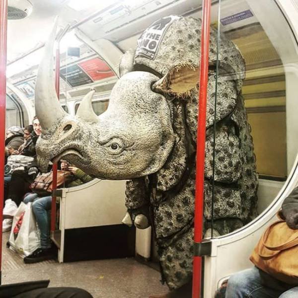 Acid Picdump. Part 2 (75 pics)
