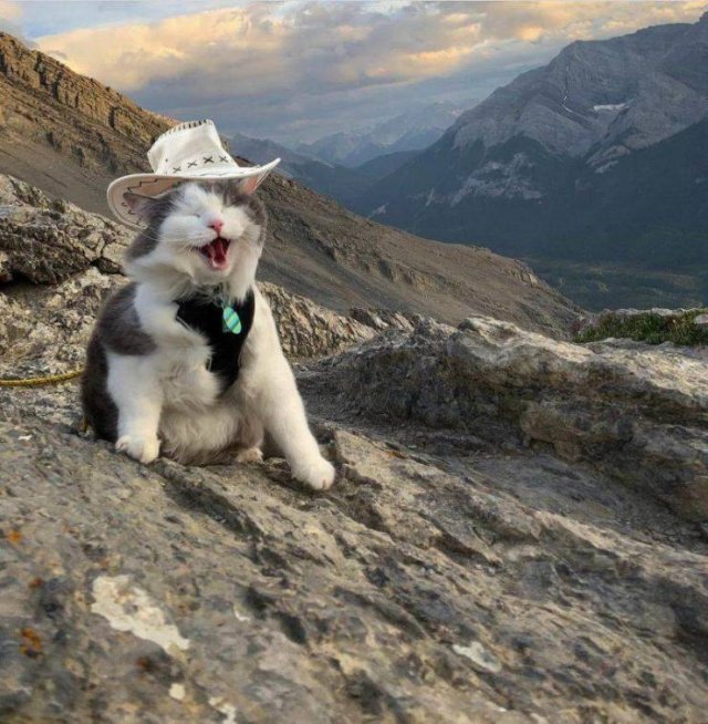 Acid Picdump. Part 2 (75 pics) Acid Picdump. Part 2 (75 pics)