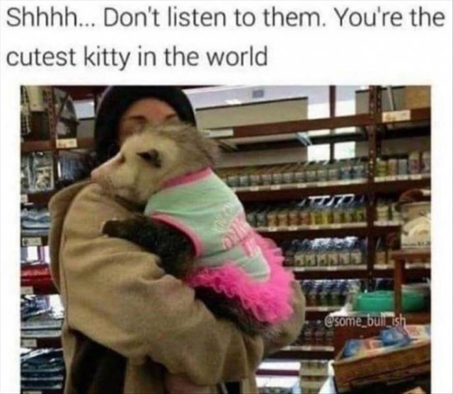 Acid Picdump. Part 2 (75 pics)