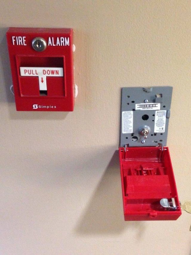 Interesting Things (54 pics)