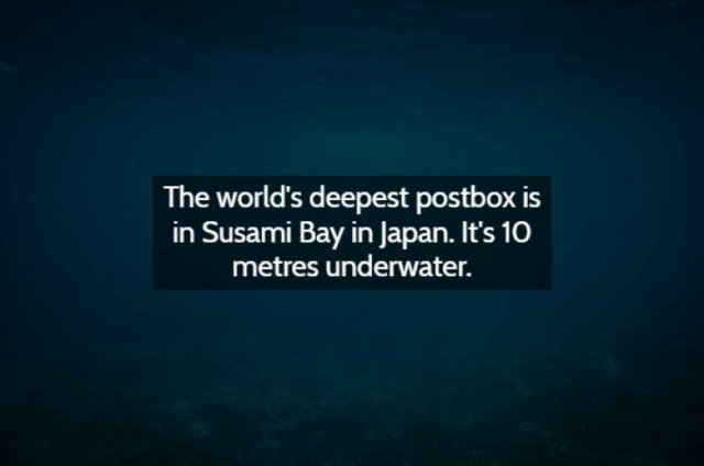 Strange & Spooky Facts (15 pics)
