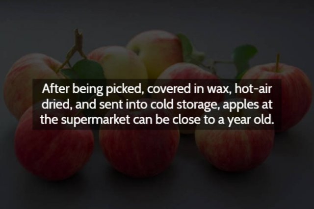 Strange & Spooky Facts (15 pics)
