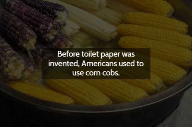 Strange & Spooky Facts (15 pics)