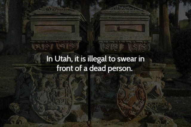 Strange & Spooky Facts (15 pics)