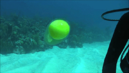 Informative Gifs (17 gifs) Informative Gifs (17 gifs)
