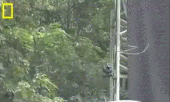 Informative Gifs (17 gifs) Informative Gifs (17 gifs)