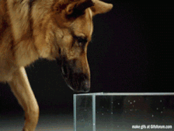 Informative Gifs (17 gifs) Informative Gifs (17 gifs)