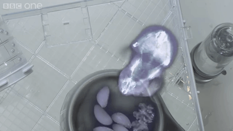 Informative Gifs (17 gifs) Informative Gifs (17 gifs)