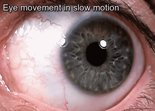 Informative Gifs (17 gifs) Informative Gifs (17 gifs)
