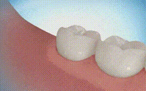 Informative Gifs (17 gifs) Informative Gifs (17 gifs)