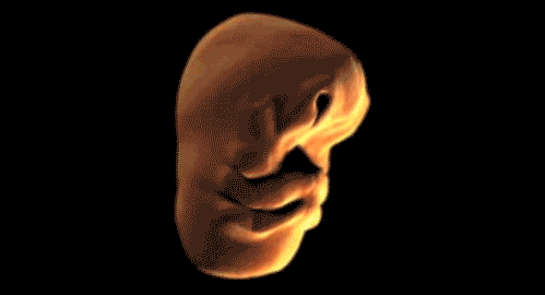Informative Gifs (17 gifs) Informative Gifs (17 gifs)