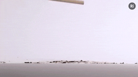 Informative Gifs (17 gifs) Informative Gifs (17 gifs)