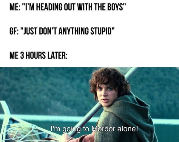 LOTR Memes (30 pics)