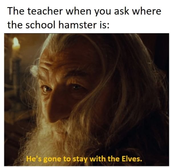 LOTR Memes (30 pics)