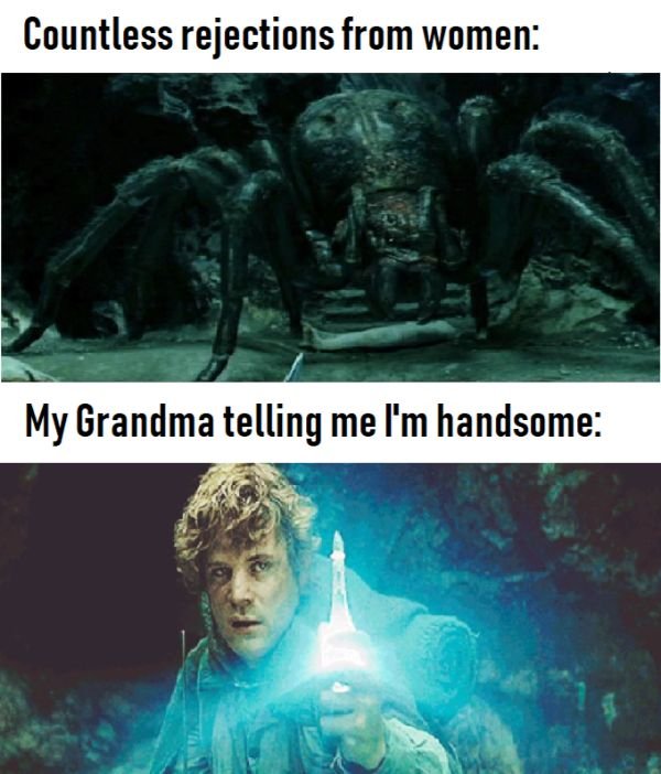 LOTR Memes (30 pics)