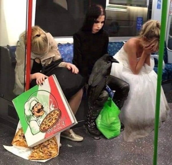 Funny And Strange Things On the Subway (23 pics)