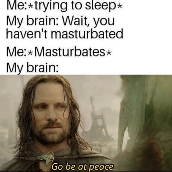 LOTR Memes (30 pics)