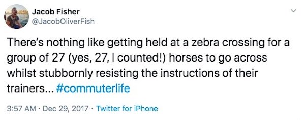 Commuter Life Tweets (30 pics)